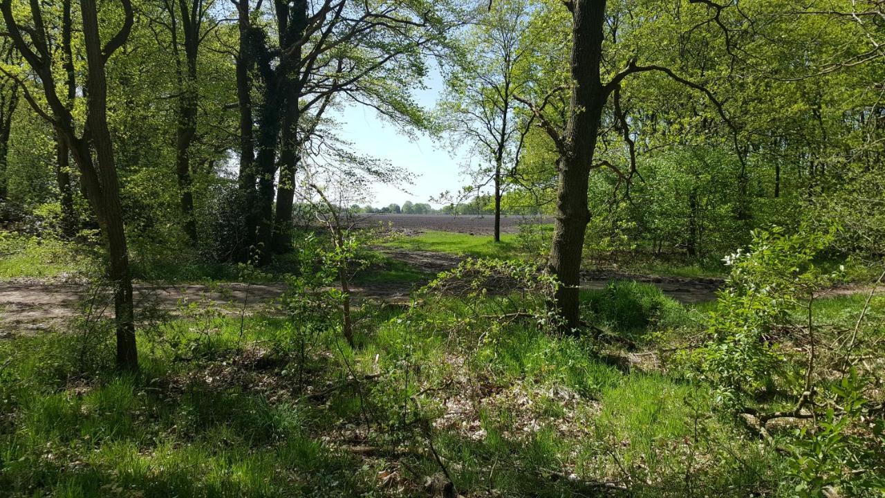 Chalet Drenthe Βίλα Schoonloo Εξωτερικό φωτογραφία