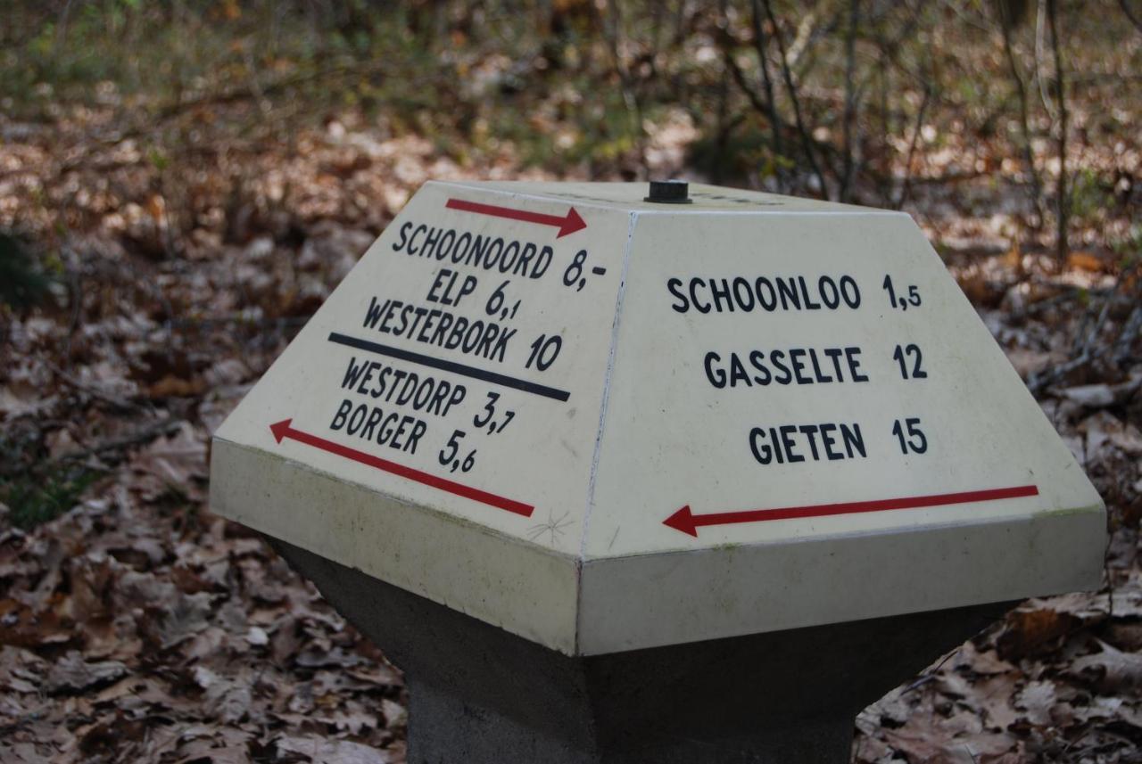 Chalet Drenthe Βίλα Schoonloo Εξωτερικό φωτογραφία