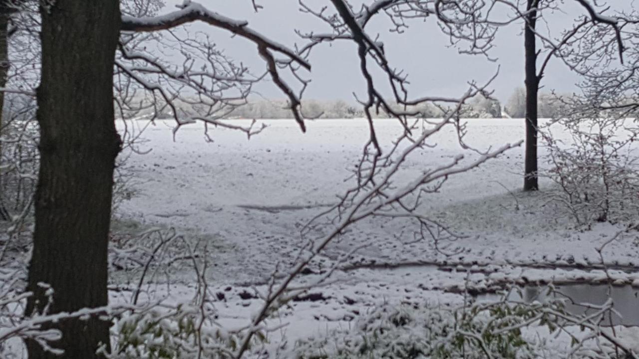 Chalet Drenthe Βίλα Schoonloo Εξωτερικό φωτογραφία